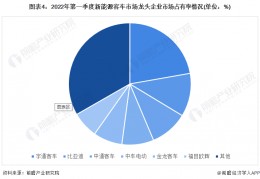 新能源龙头(新能源龙头股排名前十)