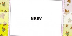 NBEV(nbev和保费什么关系)