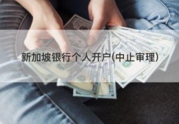 新加坡银行个人开户(中止审理)