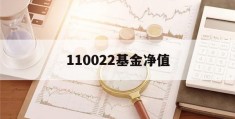 110022基金净值(110022基金净值查询今天最新净值基金排名)