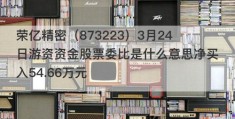 荣亿精密（873223）3月24日游资资金股票委比是什么意思净买入54.66万元