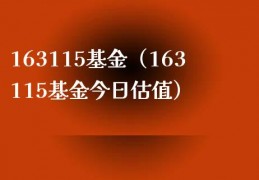 基金519011(基金519011今日净值)