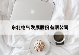 东北电气发展股份有限公司(东北电气发展股份有限公司官网)