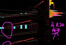 鲁泰a股吧(鲁泰股吧东方财富网)