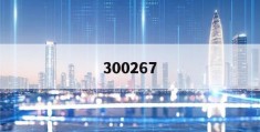 300267(300267资金流向)