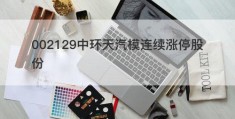 002129中环天汽模连续涨停股份