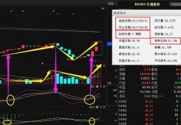 正虹科技股票(正虹科技股票重组)