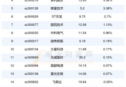 300135(300135最新消息)