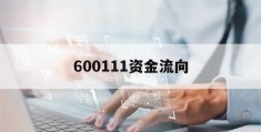 600111资金流向(600111北方稀土资金)