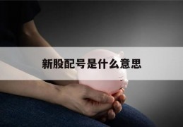 新股配号是什么意思(新股中的配号是什么意思)