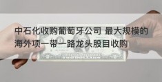 中石化收购葡萄牙公司 最大规模的海外项一带一路龙头股目收购