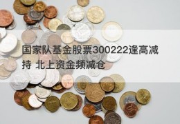 国家队基金股票300222逢高减持 北上资金频减仓