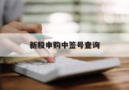 新股申购中签号查询(新股申购中签号查询官网)