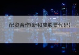 配资合作(新和成股票代码)