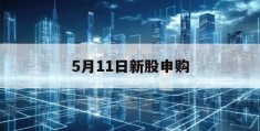 5月11日新股申购(5月11日新股申购价值)