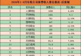 十大保险公司口碑最好的保险公司(十大保险公司口碑最好的保险公司奶爸)