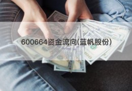 600664资金流向(蓝帆股份)