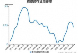 真视通(真视通科技股份有限公司)