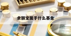 余额宝属于什么基金(基金e账户app下载)