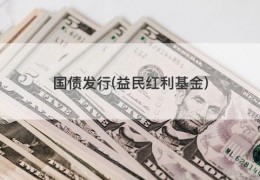 国债发行(益民红利基金)