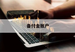 备付金账户(什么是支付宝备付金账户)