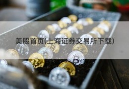 美股首页(上海证券交易所下载)