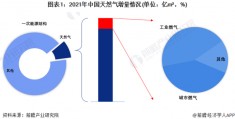 新天然气(新天然气股票股吧)