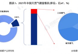 新天然气(新天然气股票股吧)