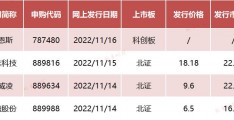 11月新股申购(11月新股申购一览表及发行价格)