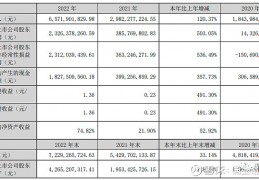 002176股票(002176股票股吧000676)