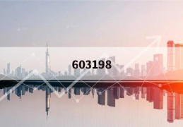 603198(603198资金流向)