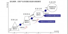 双创指的是什么(双创指的是什么意思)