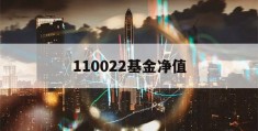 110022基金净值(110022基金净值查询)