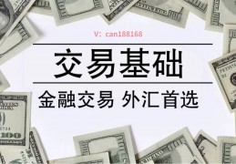 外汇交易知识(国内正规外汇平台)