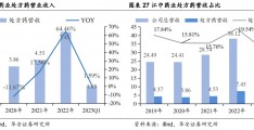 江中药业股票(江中药业股票适合长期持有吗)