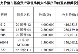 债券基金排行(债券基金排行榜前十名可转债债券是什么)