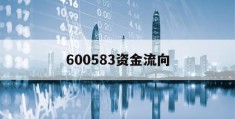 600583资金流向(600582资金流向全)