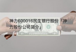 神力600016民生银行股份「神力股份公司简介」