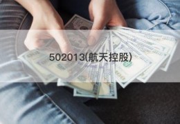 502013(航天控股)