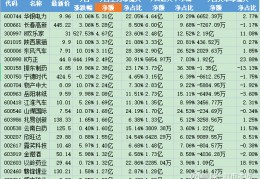 胜利股份股吧(胜利股份最新公告)