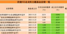 嘉实主题精选基金(嘉实主题精选基金怎么样)