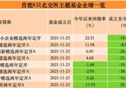 嘉实主题精选基金(嘉实主题精选基金怎么样)