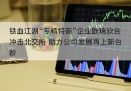 铁血江湖“专精特新”企业欧瑞欣合冲击北交所 助力公司发展再上新台阶