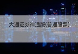 大通证券神通版(普通股票)