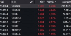 今日基金行情(今日基金行情查询)