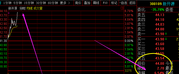 300109新开源(300109新开源股价)