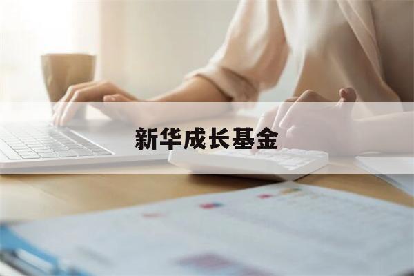 新华成长基金(新华基金app)