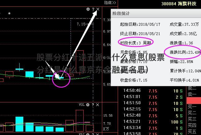 股票分红十送五派一什么意思(股票分红是什么意京东金融更名思)